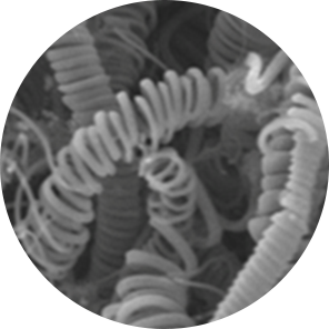 カーボンクロコイル